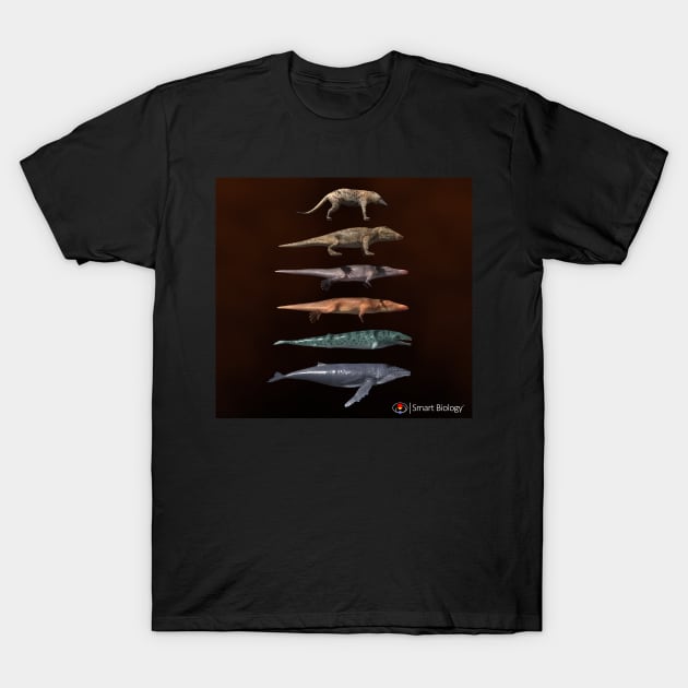 The Evolution of Whales T-Shirt by Smart Biology